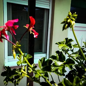  Apartman érsek Magyarország