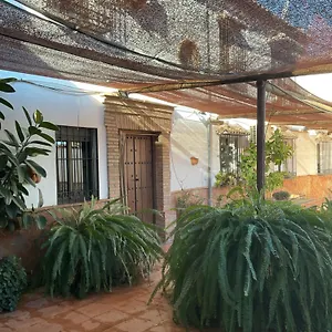 Antikaria Spain